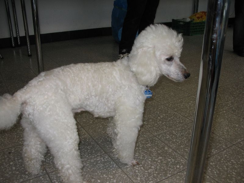 ../Images/Neujahrsturnier Berlin 07.01.2006 015.jpg